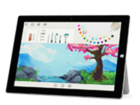 玄武Surface 无法开启、Windows 无法启动或电池无法充电